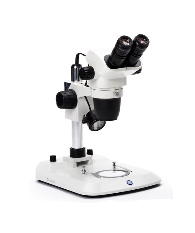 Euromex Microscope NexiusZoom Stereo NZ.1902-P