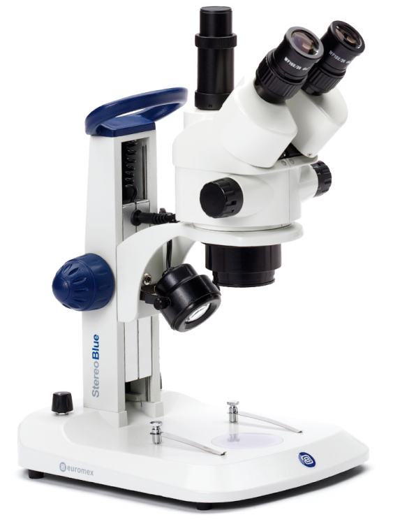 Euromex Microscopes