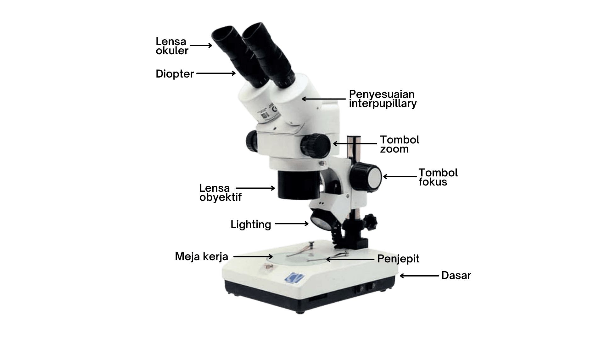 Bagian-bagian mikroskop
