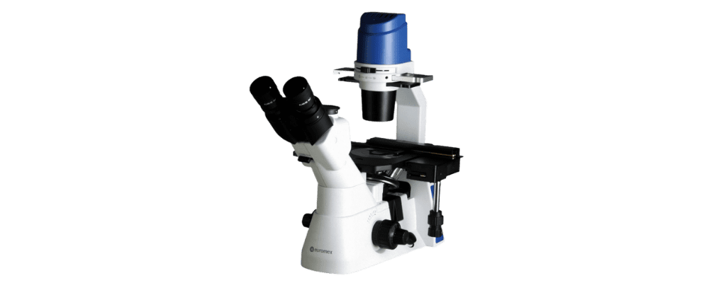 Mikroskop Inverted